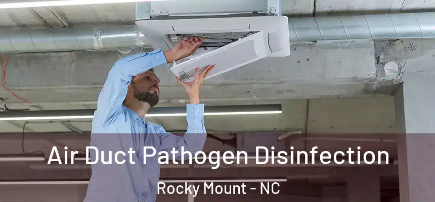  Air Duct Pathogen Disinfection Rocky Mount - NC