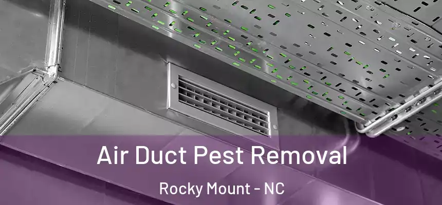  Air Duct Pest Removal Rocky Mount - NC