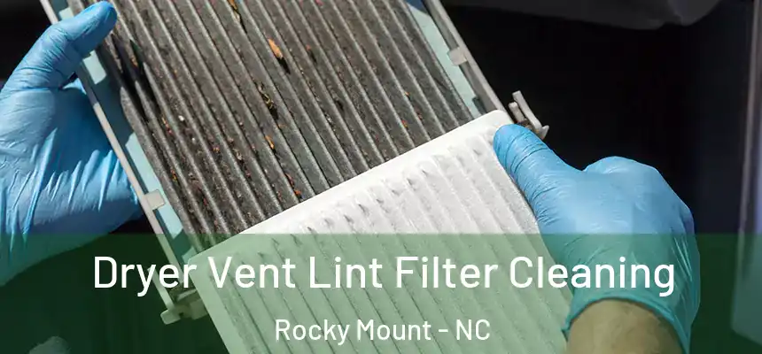  Dryer Vent Lint Filter Cleaning Rocky Mount - NC