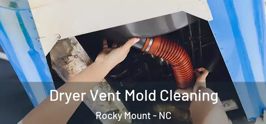 Dryer Vent Mold Cleaning Rocky Mount - NC