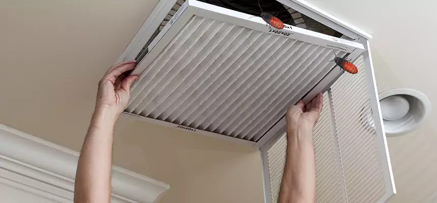 Preventive Cockroach-Proofing for Ducts in Rocky Mount