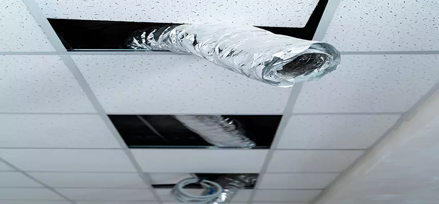 Our Air Duct Pet Hair Removal Services in Rocky Mount, NC