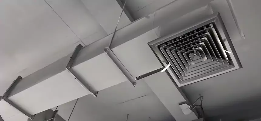 Our Pest Removal From Ducts Services in Rocky Mount, NC