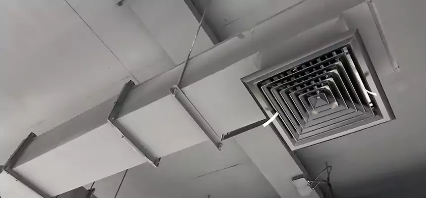 Our Rodent Droppings In Vents Services in Rocky Mount, NC