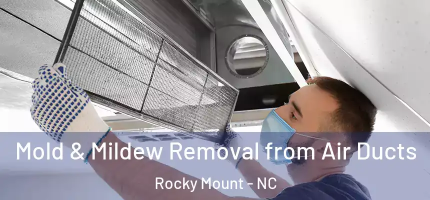  Mold & Mildew Removal from Air Ducts Rocky Mount - NC