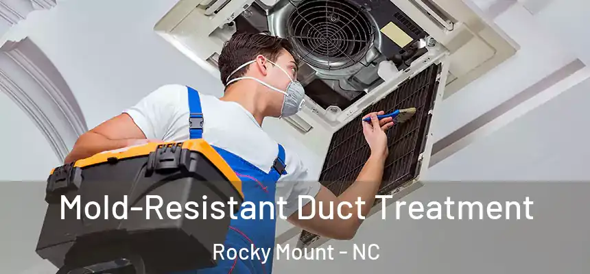  Mold-Resistant Duct Treatment Rocky Mount - NC