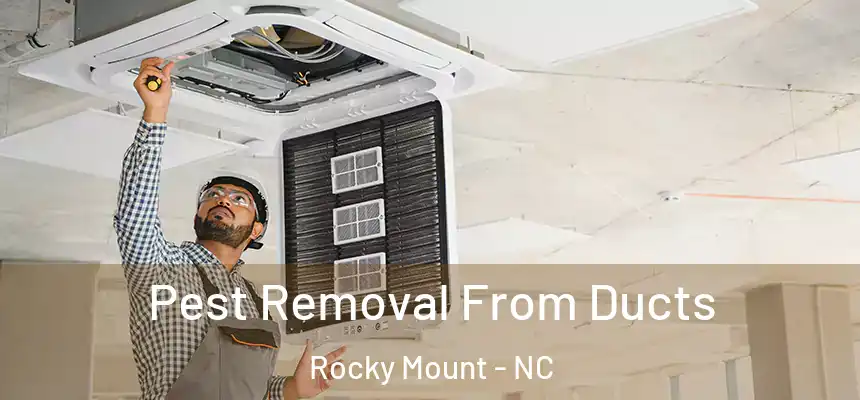  Pest Removal From Ducts Rocky Mount - NC
