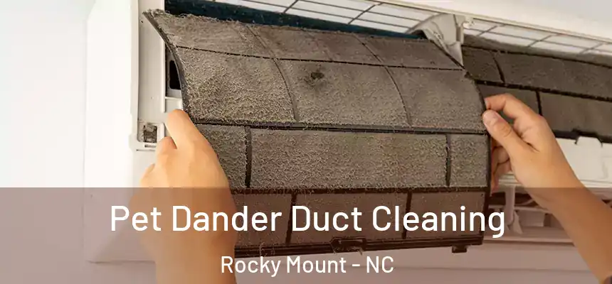 Pet Dander Duct Cleaning Rocky Mount - NC