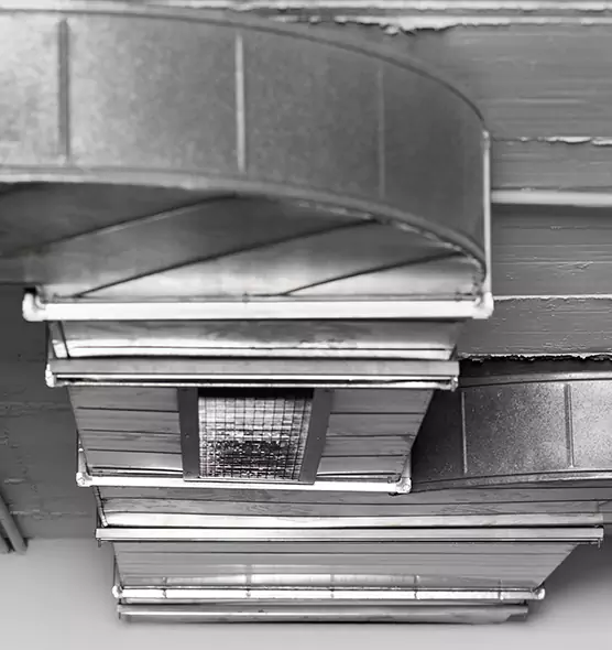 Professional Air Duct Pest Removal in Rocky Mount, NC