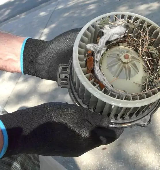 About Air Duct Rat Removal in Rocky Mount, NC