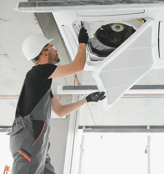 About Air Duct Rodent Removal in Rocky Mount, NC