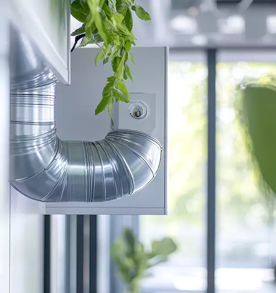 Professional Eco-Safe Dryer Vent Cleaning in Rocky Mount, NC