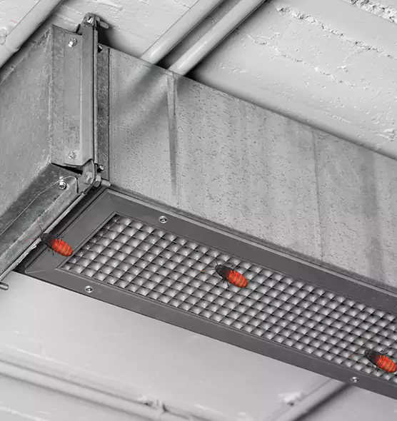 Affordable Insect Removal from Air Ducts in Rocky Mount, NC