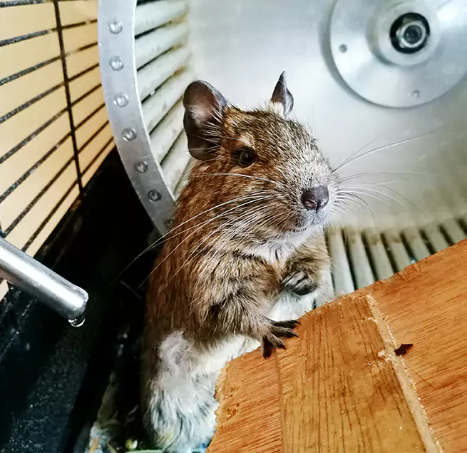 Why Homeowners & Businesses Trust Us Rocky Mount, NC