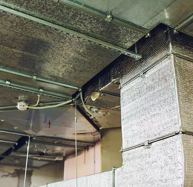 Why Homeowners & Businesses Trust Us in Rocky Mount, NC?